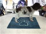 Balou di Cavallovia,  (--)