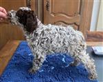 Max-Oreo Tosca della Scala