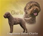 Lagotterie Dono-Charlie