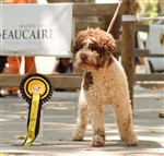 Oscar Century Olmo,  (LOF9029/957)