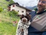 Chico va de Gogwärgini,  (--)