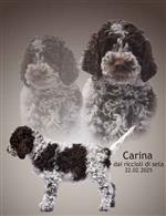 Carina dai riccioli di seta,  (--)